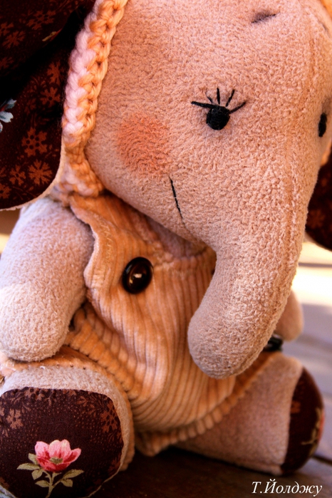 2993182_IMG_7517 (466x700, 290Kb)