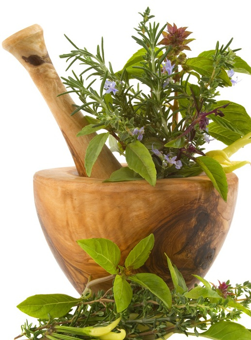 herbs (517x700, 342Kb)